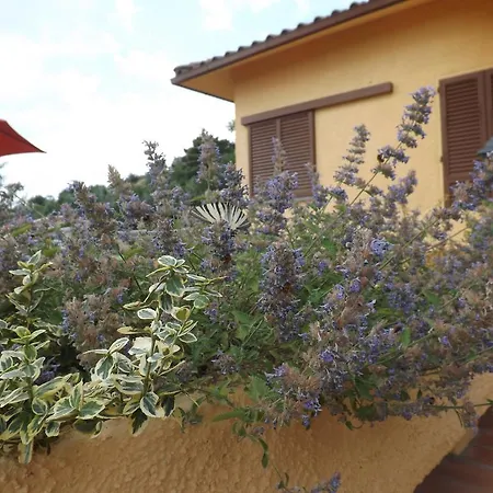 Holiday home Rifugio Al Sole *